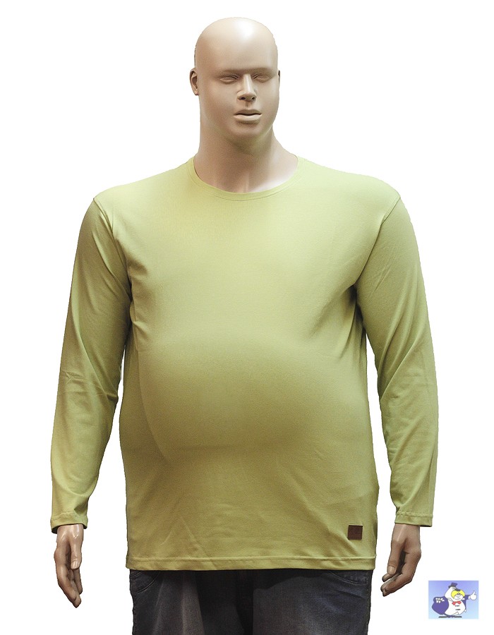 Салатовая футболка с длинным рукавом большого размера