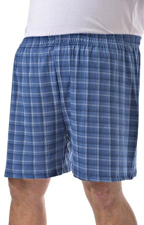 Трусы семейные синие