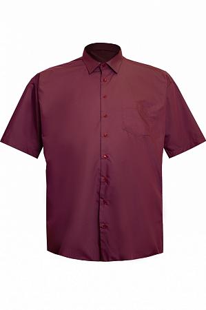 Бордовая рубашка Castelli