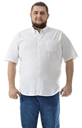 Рубашка белая Birindelli