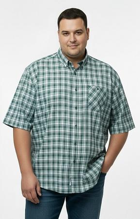 Рубашка в зеленую клетку
