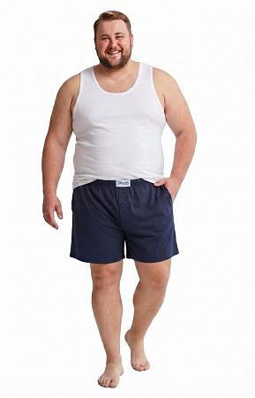 Трусы синие шортами