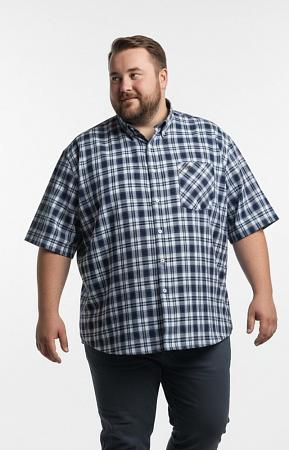 Рубашка в бело-синюю клетку