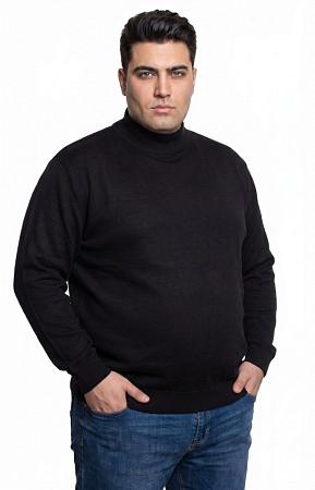 Водолазка черная