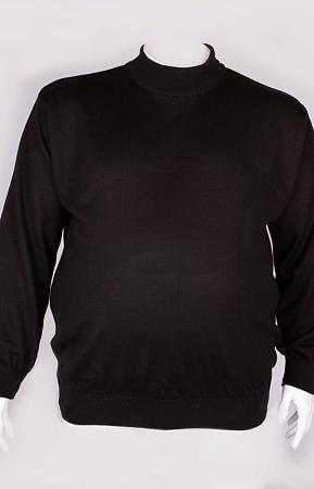 Водолазка черная
